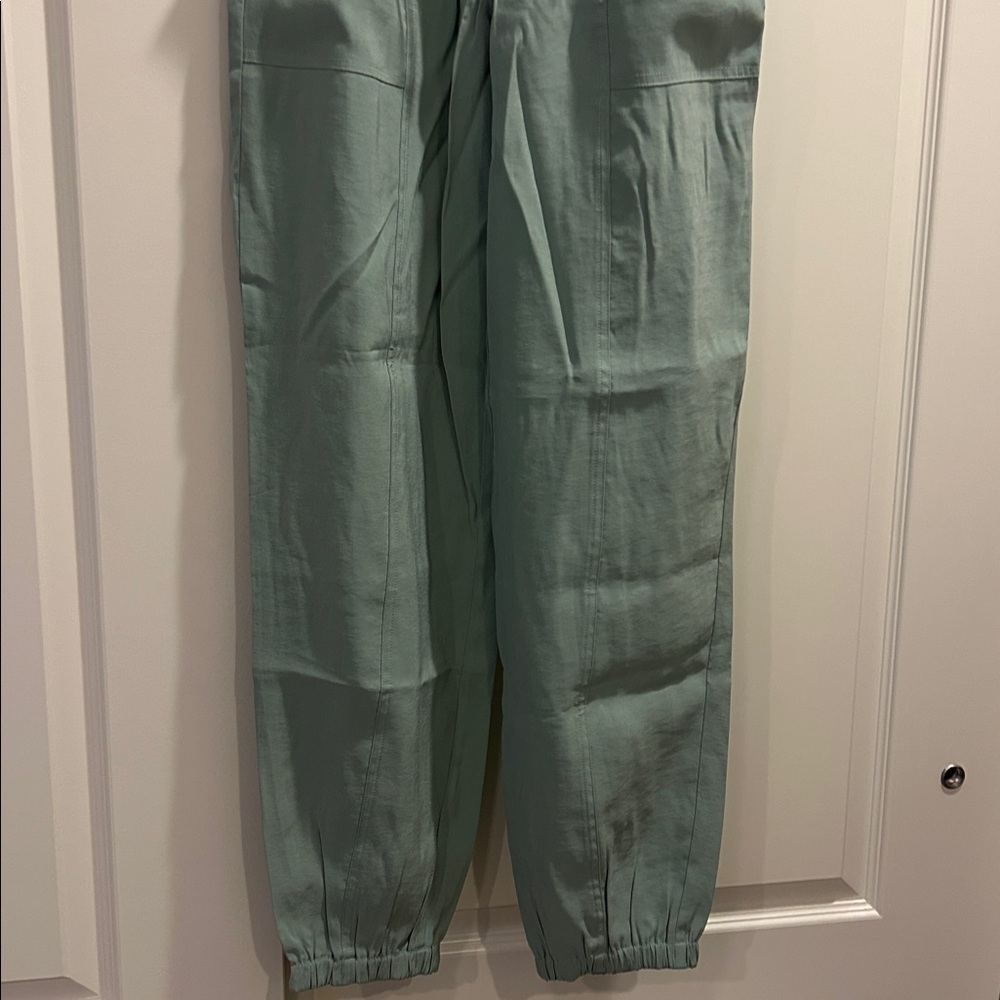 NWT Abercrombie and Fitch Sage Green Joggers - Picture 4 of 9